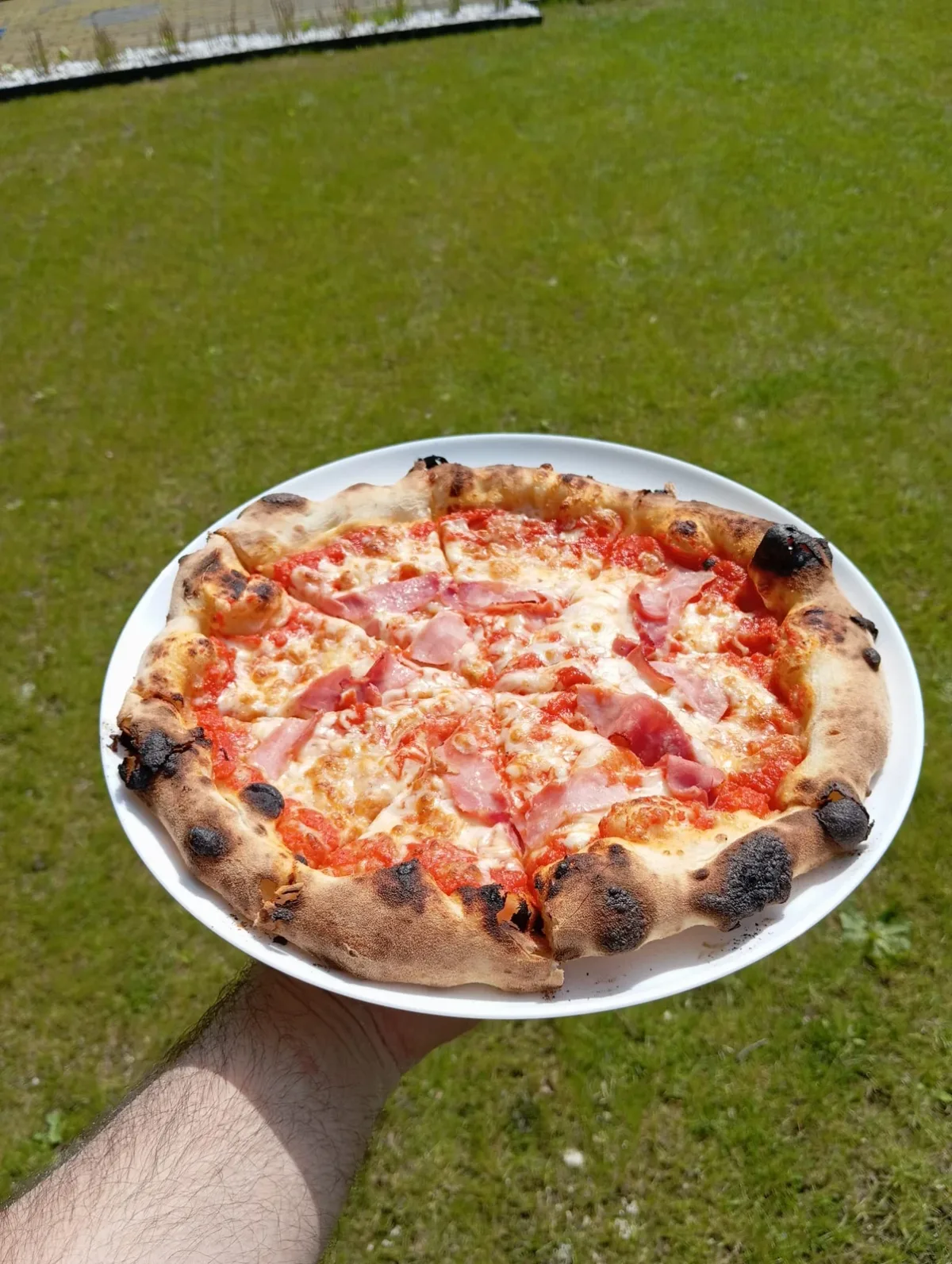 Een pizza met ham op een bord, in de tuin