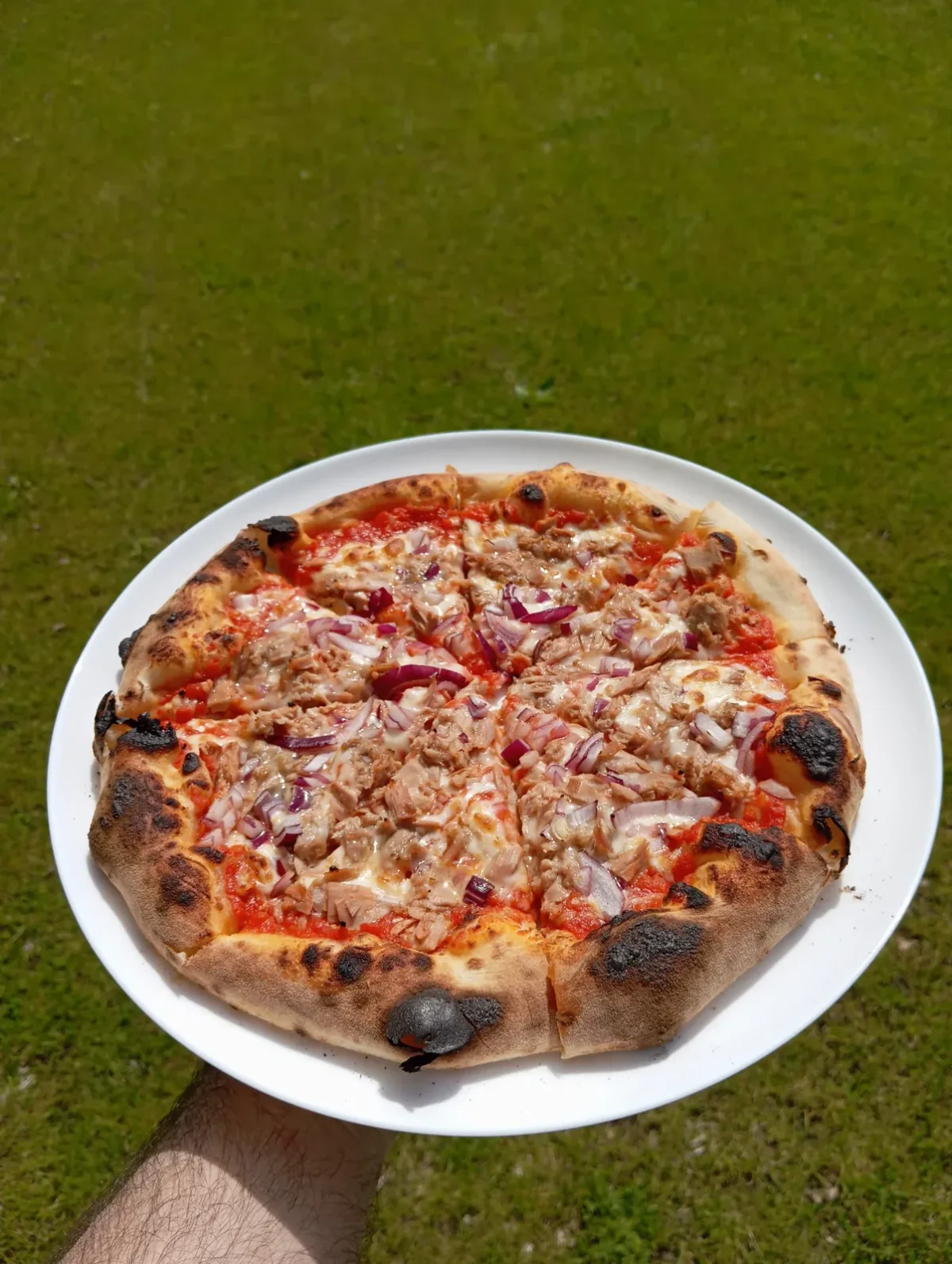 Een pizza met tonijn en ui